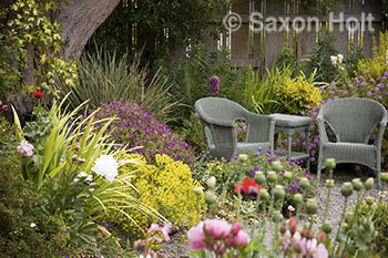 Sally Robertson's garden seating
