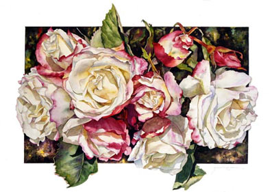 Botanical print of Double Delight Rose by Sally Robertson