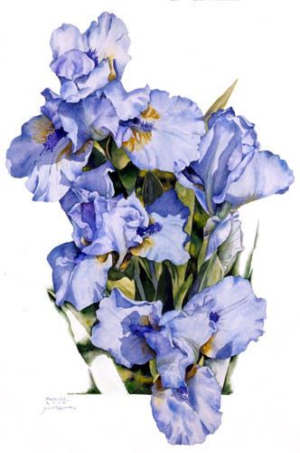 Lavender Laelia Orchid Still Life