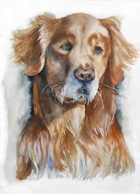 Henry, Golden Retriever, watercolor
