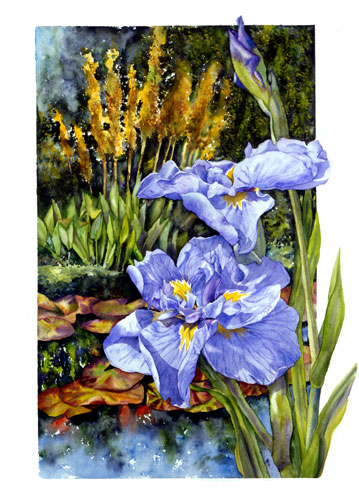 Japanese Iris by the Pond watercolor