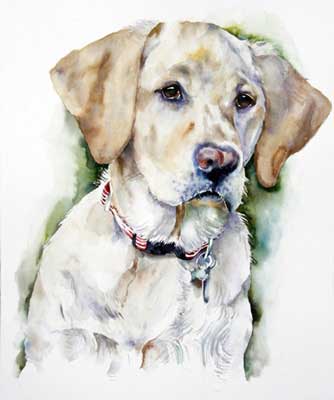Lizzie, Golden retriever