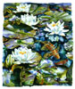 Waterlilies watercolor