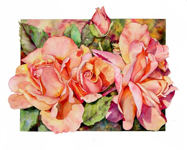 At Last Rose watercolor by Sally Robertson
