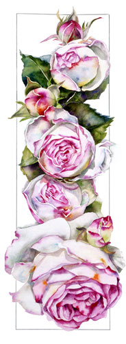 Sally Robertson Botanical print of Rose Eden