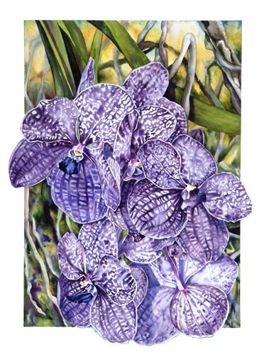 Calla Lilies in Crystal watercolor