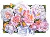 Penelope rose watercolor