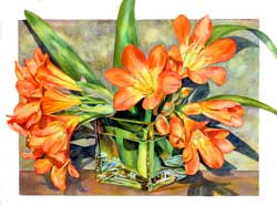 Clivia Cluster in Glass watercolor by Sally Robetson