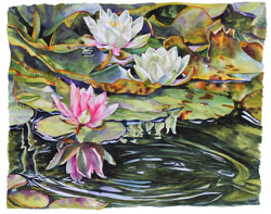 Nympheas, water lilies by Sally Robertson