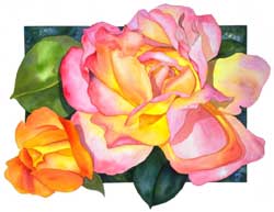 Botanical Print of CHicago Peace Rose by Sally Robertson