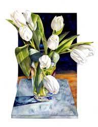 Sally Robertson botanical print of white tulip still llife