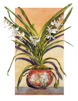 Angraecum in Arts & Crafts Pot