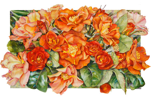 August Glory, The Edwardian Lady Rose watercolor