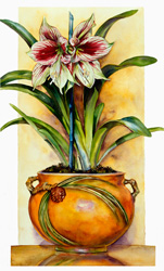 Butterfly Amaryllis
