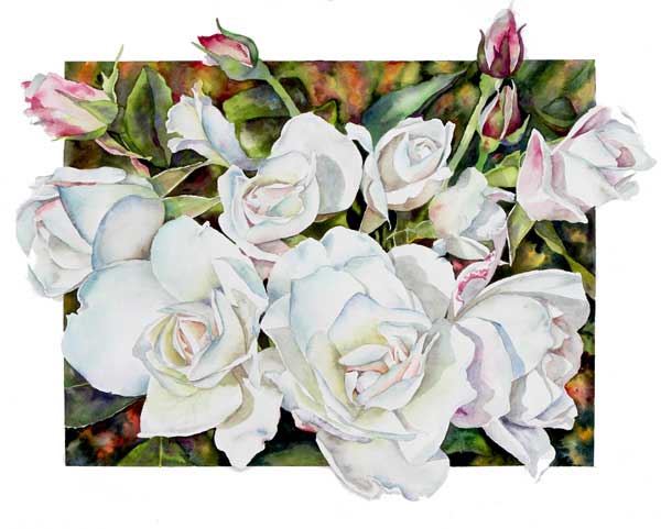 Iceberg Roses II,watercolor by Sally Robertson