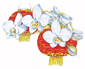 Phalaenopsis aphrodite watercolor by Sally Robertson