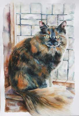 Pumpkin, cat in watercolor