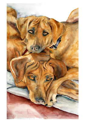 Watercolor of Rhodesian RIdgebacks