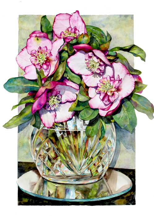 Winter Jewles Helleborus watercolor by Sally Robertson