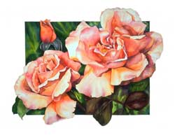 Sally Robertson Botanical Print of Just Joey Rose