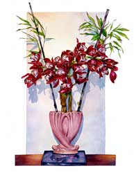 Cymbidium Orchid Print