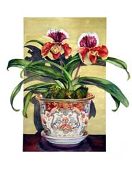 Lady Slipper Print