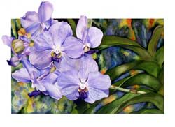 Vanda Orchid Print